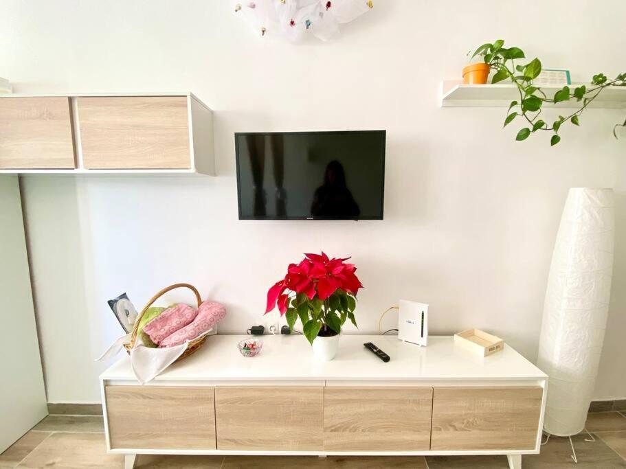 לאס פאלמס דה גראן קנאריה Estudio Bahia Playa De Las Canteras מראה חיצוני תמונה